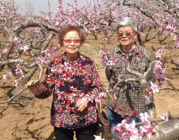 钱惠茵教授一个留言条一份浓浓的恩情